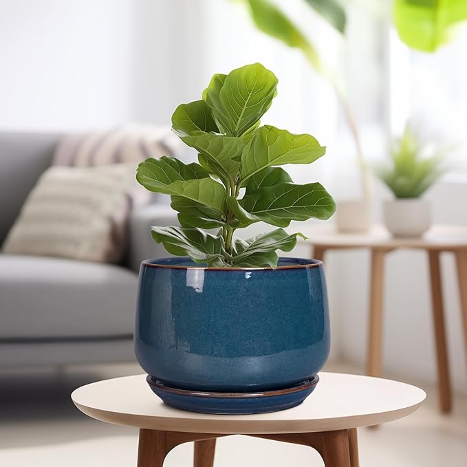 G EPGardening Ceramic Plant Pots - 9 Inch Round Modern Planter Indoor with Drainage and Tray for Indoor Outdoor Flower, Office Decor, Gardening Gifts, Retro Blue