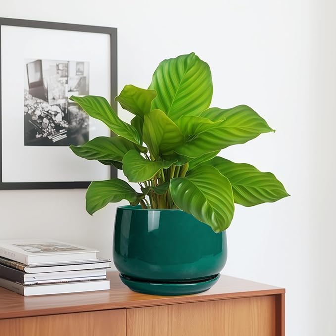 G EPGardening Ceramic Planter for Indoor Plants - 7 Inch Plant Pot, Round Planter with Drainage and Saucer, Round Flower Pots for Outdoor, Modern Desk Decor, Gift for Women Men, Green