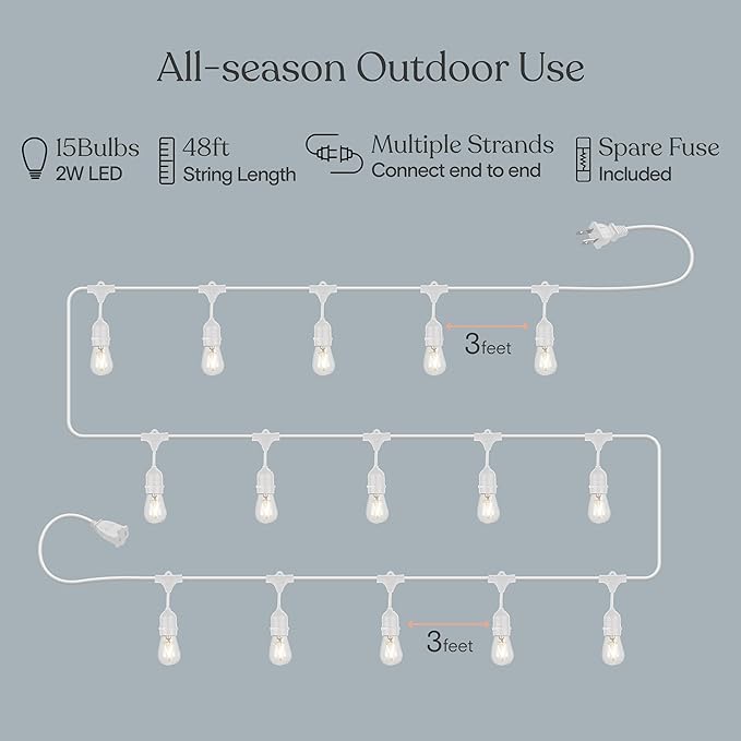 Brightech Ambience Pro Waterproof LED Outdoor String Lights, 48 Ft, Hanging, Dimmable Vintage Edison Bulbs, 15 Bulbs, 2W