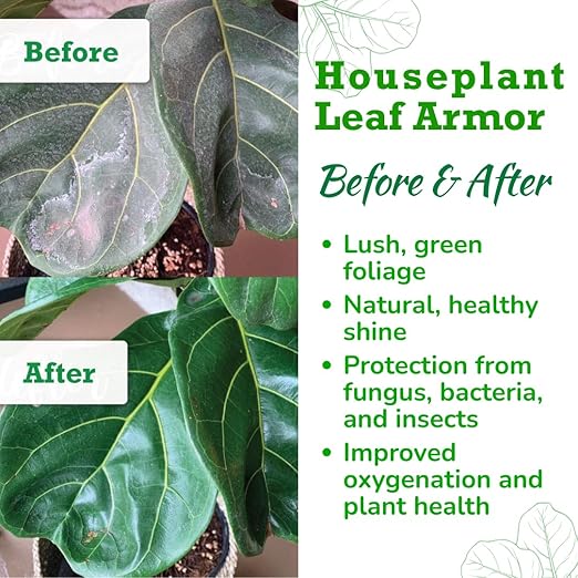 Leaf Armor Spray for Houseplants – Protects Against Fungal Leaf Spots, Bacteria, Pathogens & Yellowing | Gentle & Natural Phosphite Formula | Ready-to-Use | Made in USA – 8 oz