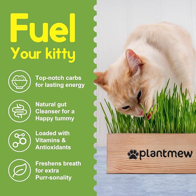 Organic Cat Grass Kit for Indoor Cats - 3 Pack with Cat Grass Seeds, Nutrient Soil & Planter Pots | Complete Growing Set for Fresh Pet Grass (Non-GMO Wheat Grass)