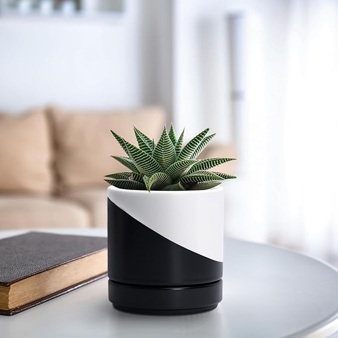 D'vine Dev 4.6 Inch Ceramic Planter Pot with Drainage Hole and Saucer, Indoor Cylinder Round Planter Pot, Oblique Monochrome Black and White, 94-O-B-K