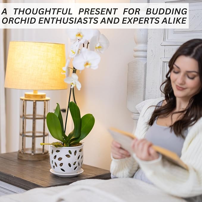 Orchid Pot with Holes & Saucer Ceramic 6.5 in. Indoor or Outdoor Large Pot for Orchid Care & Root Health with Precise Aeration & Drainage – Durable for Repotting or New Plants