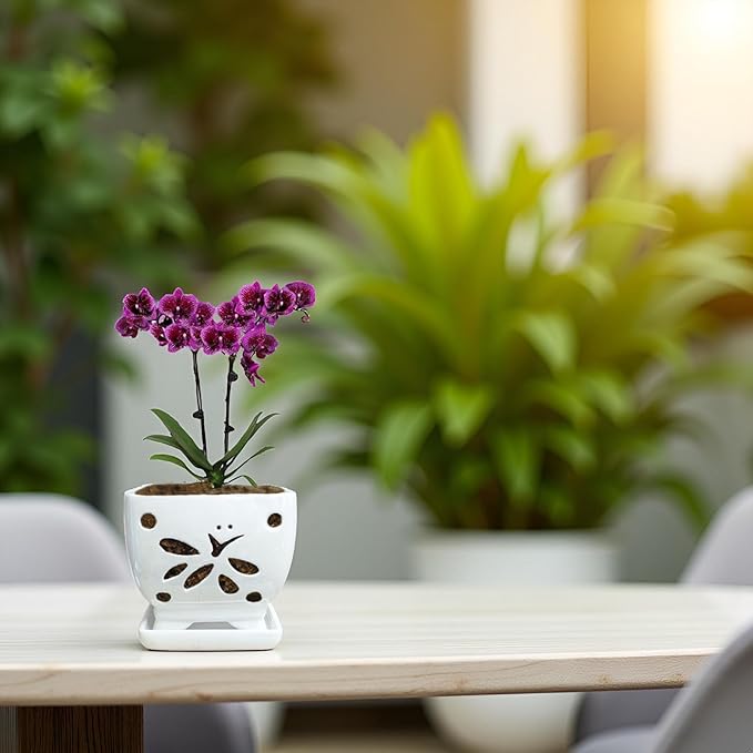 Orchid Pots with Holes Square Ceramic Orchid Planter Pots 5.5 inch (White)