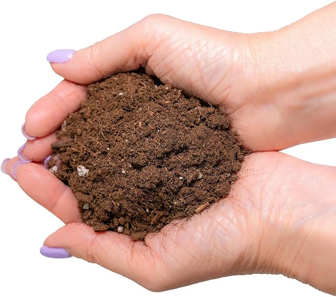 Money Tree Potting Soil - 20 Quart - Soil Mix for Planting or Repotting Guiana Chestnut, Soil Blended to Properly Grow Money Tree Plants (4 Bags of 5 Quart)