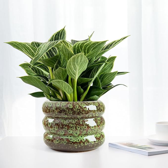 Ceramic 6 inch Plant Pot - Planter for Indoor Plants with Drainage Hole, Flower Pots for Orchid, Succulent,Outdoor Plants, Modern Glaze Planters for Home Office Decor Gift