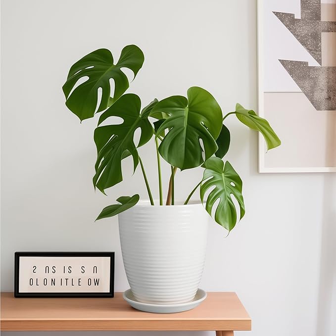 8 Inch Ceramic Planter Pot Round Plant Pot with Drainage Hole and Saucer Modern Flower Pot for Indoor Outdoor Plants White