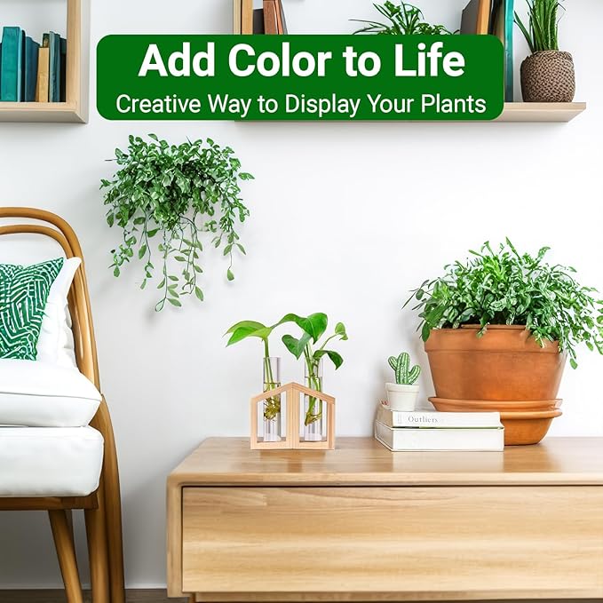 Ivolador Plant Propagation Station, Plant Propagation Tubes,Gifts for Plant Lovers,Plants Cutting Holder Office Desk Garden Décor Gifts for Mom Women Hydroponic Vase Gift Box