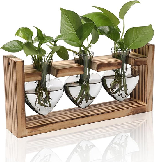 Plant Terrarium Propagation Stations Hydroponics Home Garden Decoration Gift for Women with Wooden Stand Heart Shaped Colored Glass Vase