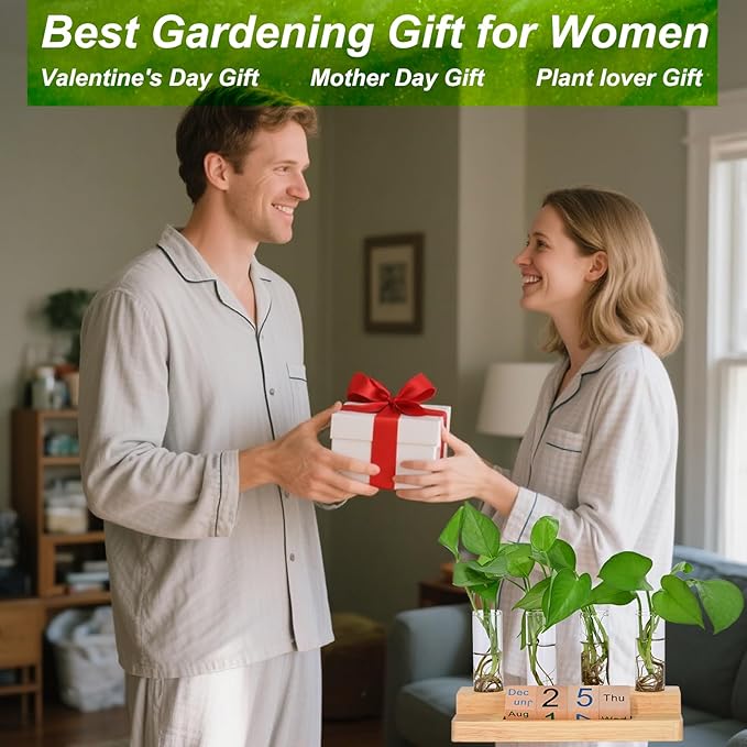 Propagation Vases for Plants, with Block Calendar for Desk, for Home and Desk Decor, Perfect Gardening Gifts for Women, Mom, Teacher, Horticulturist(Light Wood Color)