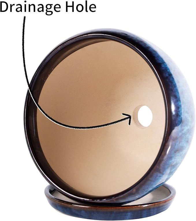 Ceramic Modern Glaze Succulent Planter Pot with Drainage Hole and Saucer 6 Inch Round Flower Plant Pot for Indoor Outdoor Herb Snake Plants