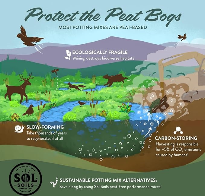 Sol Soils Succulent Gritty Mix 1 Gallon - Fast Draining Peat Moss Free Succulent Soil Potting Mix with Coconut Husk Chips, Perlite & Pumice