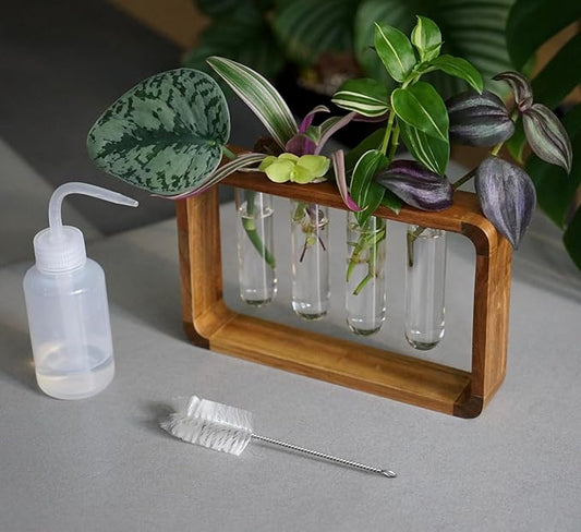 Source & Plot - Plant Propagation Station - Acacia Wood Stand 4 Glass Test Tube Hydroponic Tabletop Rooting Terrarium Planter Rack Home and Office Decor - Last Batch