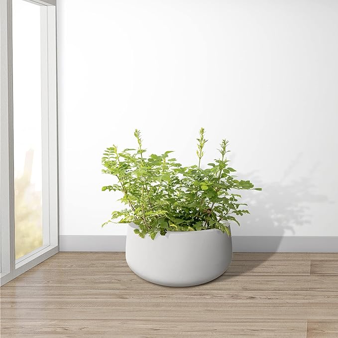 Kante 19.6" Dia Round Concrete Planter, Outdoor Indoor Garden Plant Pots with Drainage Hole and Rubber Plug, Modern Curvaceous Design, Pure White
