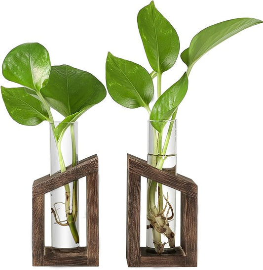 Ivolador Test Tube Propagation Stations Pothos Planter Terrarium Container Perfect for Propagating Hydroponic Plants Home Office Garden Decor Wedding -2 PCS