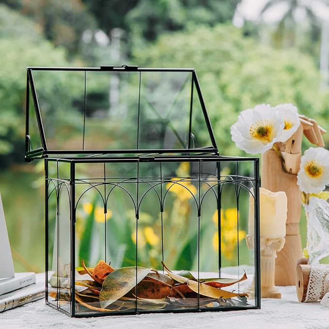 NCYP Glass Terrarium with Lid for Cacti, Succulents, Small Plants - 7.5 x 4.9 x 9 inches Closed Geometric Planter Box - Home Indoor Tabletop House Shape Decorative, Black (Terrarium Only)