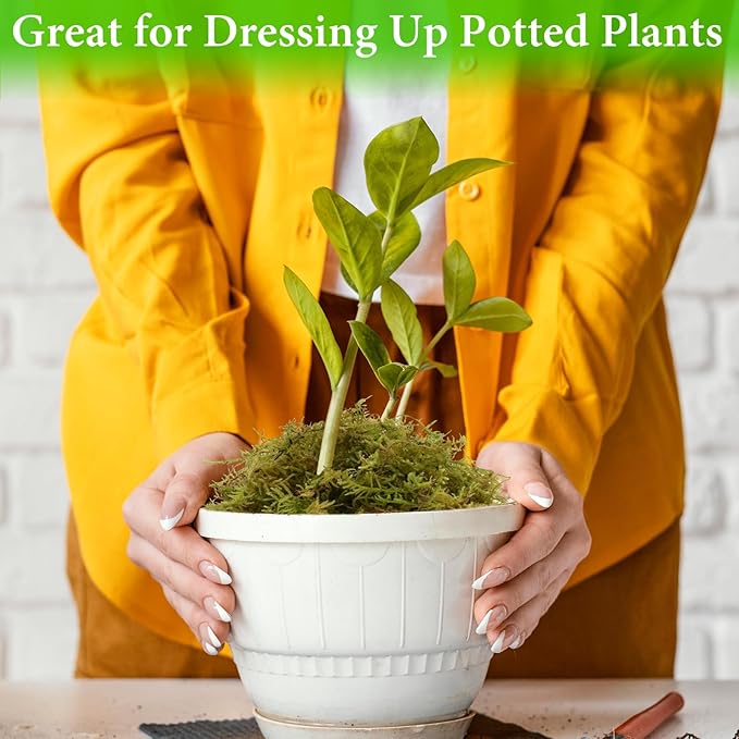 Halatool 3.3LB Green Forest Moss Natural Sphagnum Moss for Plants Fluffy Orchid Moss for Orchids Repotting Dried Plant Moss for Potted Plants Indoor & Outdoor