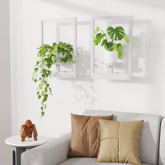 Picture Frame Wall Plant Holder, Metal Window Plant Shelves Plant Holder for Indoor Plants, Hanging Wall Planters Wall-Mounted Plant for Home, Office, and Garden (White, 2PCS)