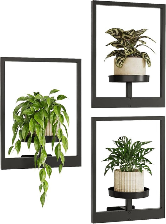 Bamworld Plant Stand Indoor Window Plant Shelves 3 Pack Metal Hanging Plant Stand Picture Frame Wall Planters Window Sill Plant Shelf for Multiple Plants Home Decor Wall Decor (Patent Design)