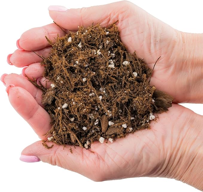 Premium Gardenera House Plant Potting Mix | Fern + New Zealand Bark + Perlite | Great for Pothos, Spider Plants, Montsera, Philodendron, English Ivy - 5 Quart Bag