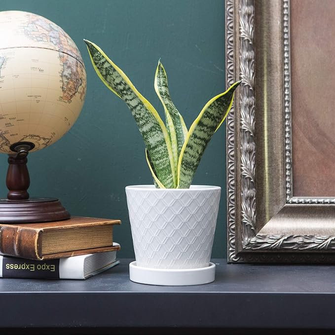 Plant Pots Indoor –5 inch Ceramic Flower Pot with Drainage Hole and Ceramic Tray - Gardening Home Desktop Office Windowsill Decoration Gift, Set of 4 - Plants NOT Included (White)