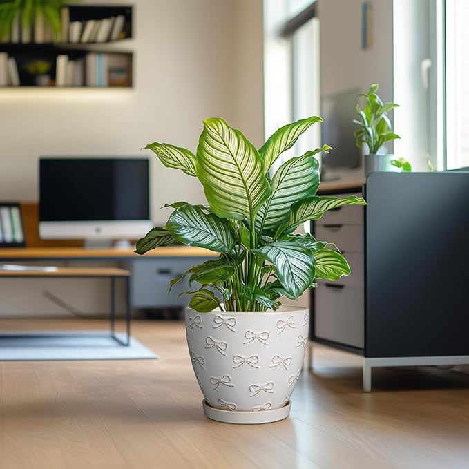 Pots for Plants 10 Inch - Ceramic Planter Large Plant Pot for Indoor Plants Outdoor Round Flower Pot with Drainage Hole and Saucer Home Garden Decor White