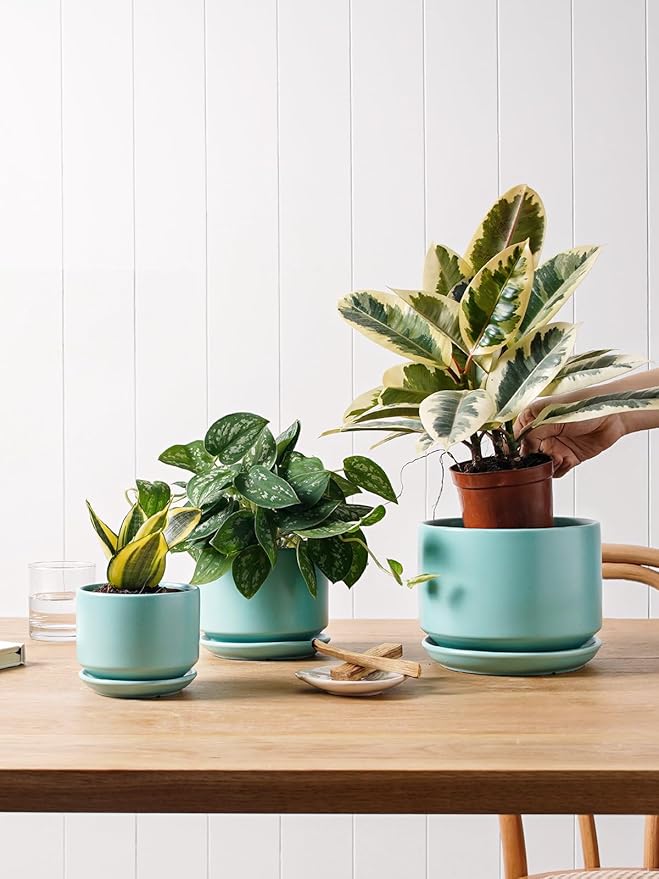 LE TAUCI Ceramic Plant Pots, 4.3+5.3+6.8 inch, Set of 3, Planters with Drainage Hole and Saucer, Indoor Flower Pot with Hole Mesh Pad, Gifts for Mom, Aqua