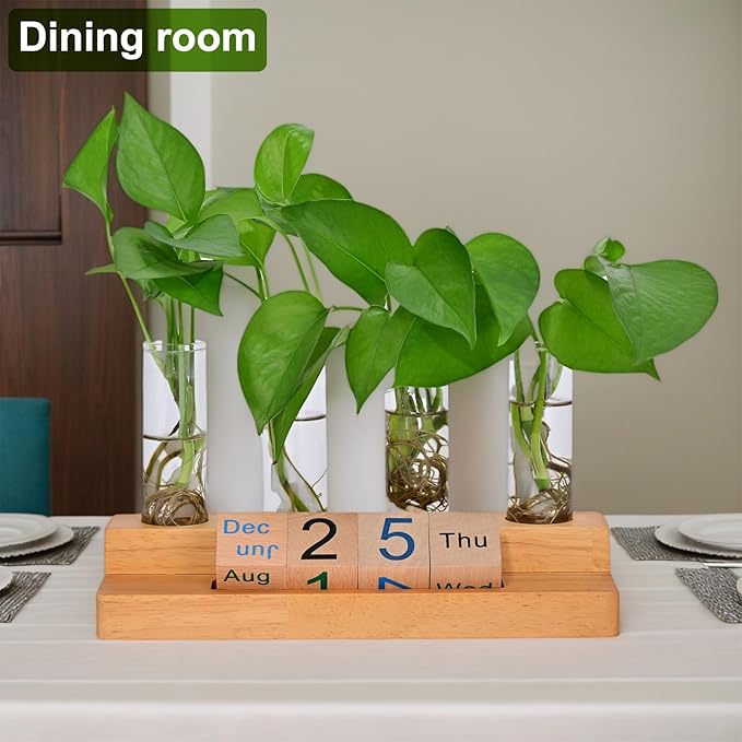 Propagation Vases for Plants, with Block Calendar for Desk, for Home and Desk Decor, Perfect Gardening Gifts for Women, Mom, Teacher, Horticulturist (Dark Wood Color)