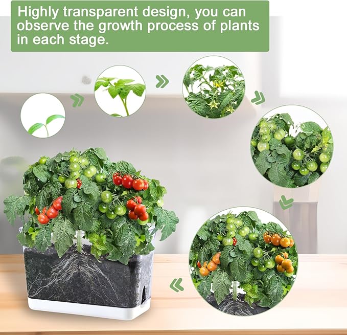 Self Watering Planters for Indoor Plants, 4 Pack Rectangular Clear Plant Pots with Drainage Holes for Spider Plant African Violet, Plant Growth Observations Plant Box for Kids