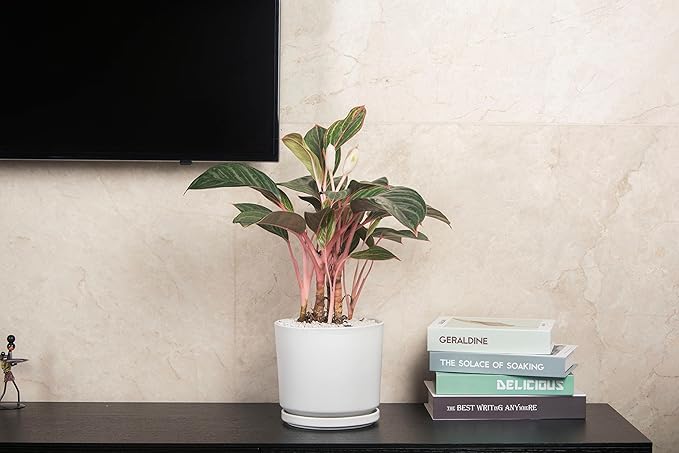 Ekirlin 9 inch Plant Pots,Ceramic Flower Planters Indoor,Modern Succulents Containers with Drain Hole Saucer,Decorate Home,Office & Outdoor (White)