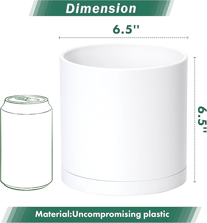 D'vine Dev 2 Pack 6.5 Inch Modern Plastic Plant Pots, Small Garden Planters for Plant with Drainage Holes and Saucers, White Color, 74-Z-L-1