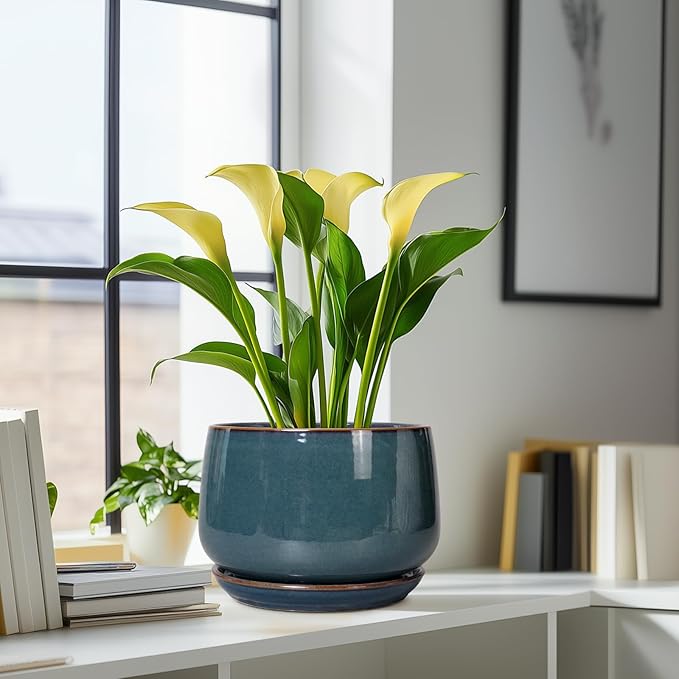 G EPGardening Ceramic Plant Pots - 9 Inch Round Modern Planter Indoor with Drainage and Tray for Indoor Outdoor Flower, Office Decor, Gardening Gifts, Retro Blue