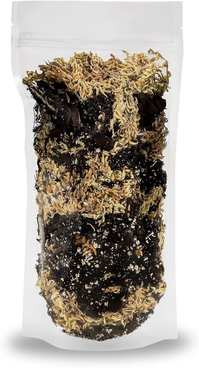 Premium Orchid Mix by GARDENERA | Fern + New Zealand Pine Bark + Sphagnum Moss + Perlite | Best for Growing and Repotting Orchids - 4 Quart Bag