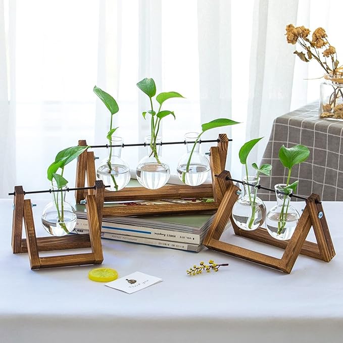 Kingbuy Glass Desktop Planter with Retro Wooden Stand and Plant Terrarium vase (2 Bulbs) for Indoor Office Desk Decor Accessories