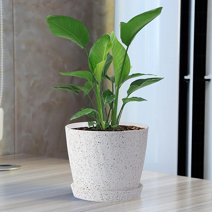 7 Inch Plant Pots Bulk, 6 Pack Plastic Planters with Drainage Holes and Saucers for Indoor Outdoor House Plants and Flowers, White Speckles