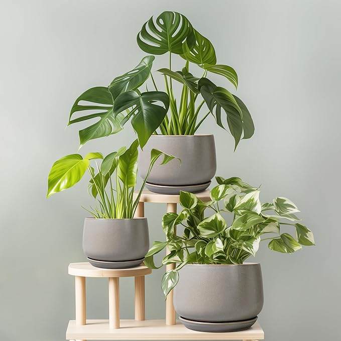 G EPGardening Ceramic Planter 9 Inch - Round Modern Plant Pots with Drainage and Plant Saucer Indoor Outdoor for Flower, Vanity Decor, House Gifts, Retro Grey