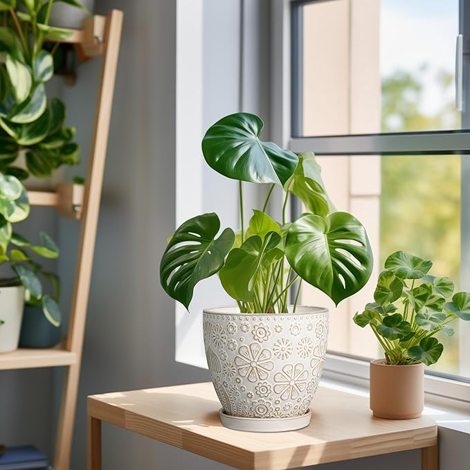 6 Inch Plant Pot with Drainage Hole and Saucer Ceramic Planter for Indoor Plant Flower Pot for Orchid Succulents Plants White