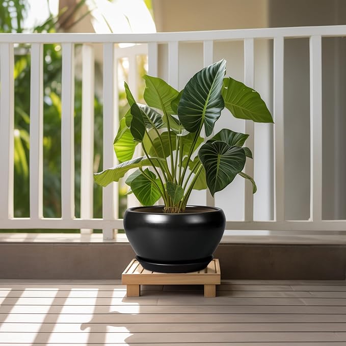 Ceramic Pot for Plants - 11 Inch Plant Pot Indoor with Drainage Hole and Saucer Large Planter Decorative Planter Modern Outdoor Flower Pot for House Balcony Black