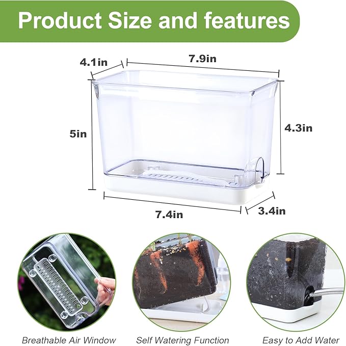 Self Watering Planter, 2 Pack African Violet Pots, Rectangular Self-Watering Clear Planters Box for Devil's Ivy, Spider Plants, Orchid. Flower Planting and Small Vegetables for Home Office