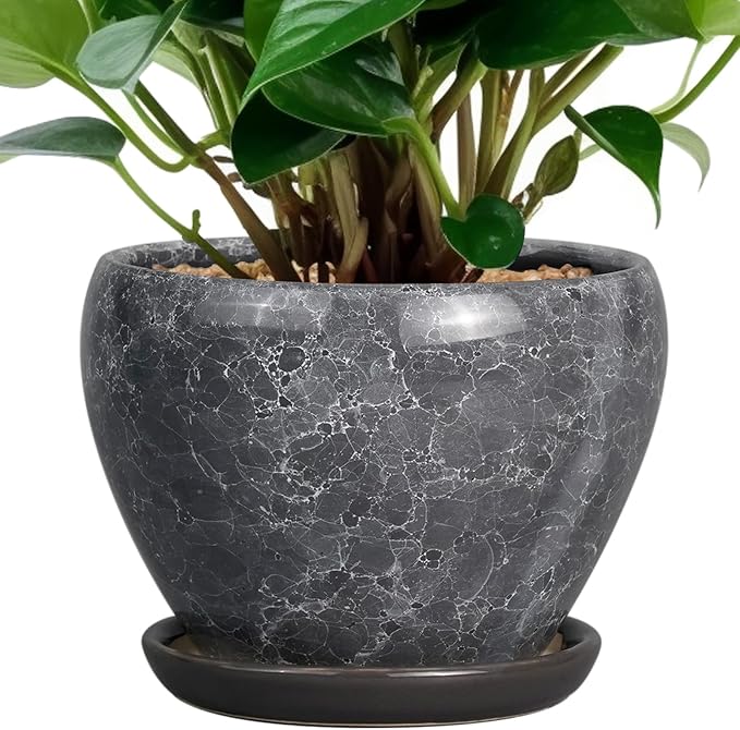 Ceramic Planter - 6 Inch Plant Pot with Drainage Hole and Saucer, Succulent Pot Glaze Round Flower Pot for Indoor Outdoor Plants, Gray