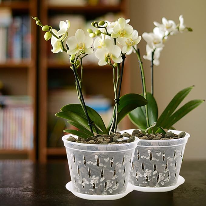 Orchid Pot, 8 Inch 4 Pack Orchid Pots with Holes and Saucers, Clear Plastic Orchid Pots