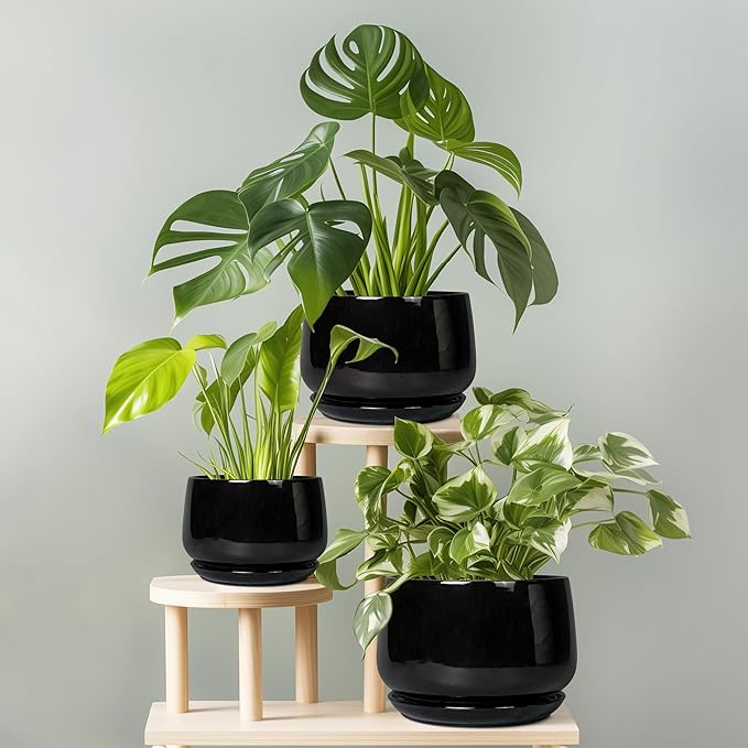 G EPGardening Ceramic Planter 7 Inch - Ceramic Pot for Plants with Drainage and Saucer, Round Plant Pots, Modern Indoor Outdoor Planter, Home Decor, Garden Gifts, Black