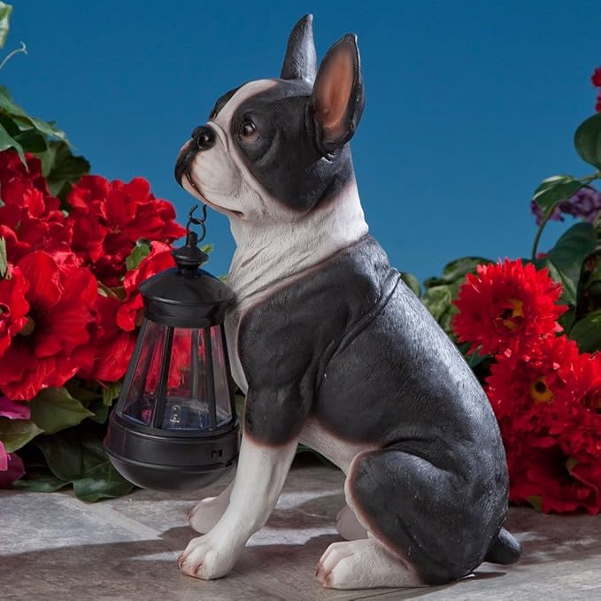 Bits and Pieces - Boston Terrier Solar Lantern Statue - Yard Decorations - Solar Powered Garden Lantern - Resin Dog Sculpture - Outdoor LED Lighting