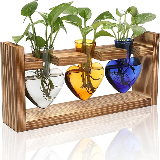 Plant Terrarium Propagation Stations Hydroponics Home Garden Decoration Gift for Women with Wooden Stand Heart Shaped Colored Glass Vase