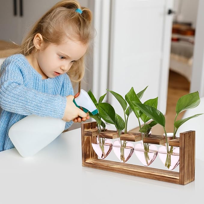 Plant Propagation Stations Heart Plant Terrarium Kit Gift for Women Plant Lover Glass Vases