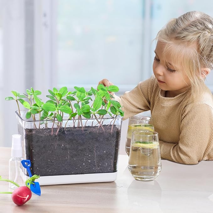 Self Watering Planter, 2 Pack African Violet Pots, Rectangular Self-Watering Clear Planters Box for Devil's Ivy, Spider Plants, Orchid. Flower Planting and Small Vegetables for Home Office