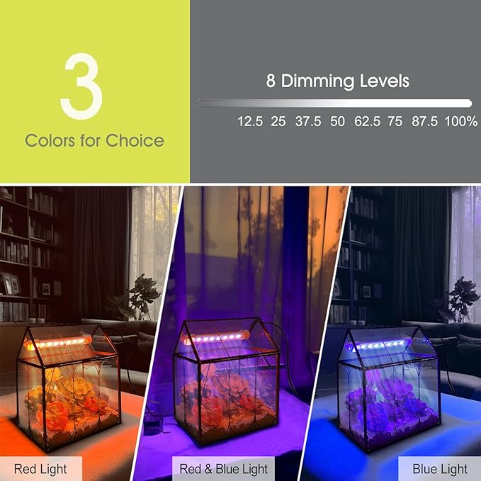 Plant Terrarium Kit with Grow Light, Rifny Large Glass Terrarium Jar with Absorbent Mat and Lid for Venus Fly Trap Succulent Live Air Plants Indoor Home Office Decor (Black, 8.9 x 5.9 x 9.9 inch)