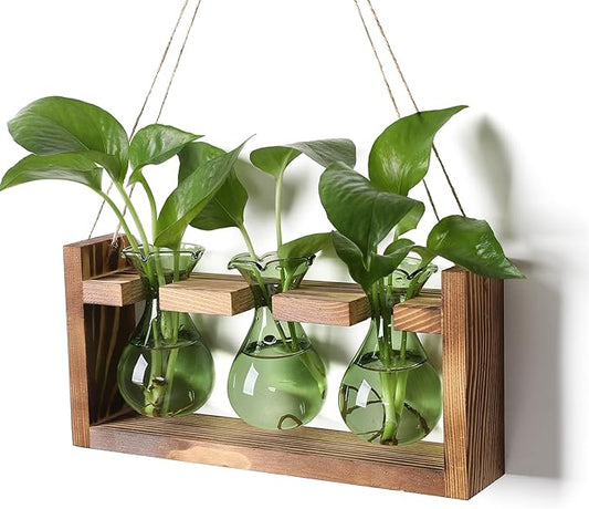 Plant Propagation Station Plant Terrarium Unique Birthday Gifts for Women Plant Lovers Home Office Decor Planter with Wooden Stand - 3 Bulb Glass Vase