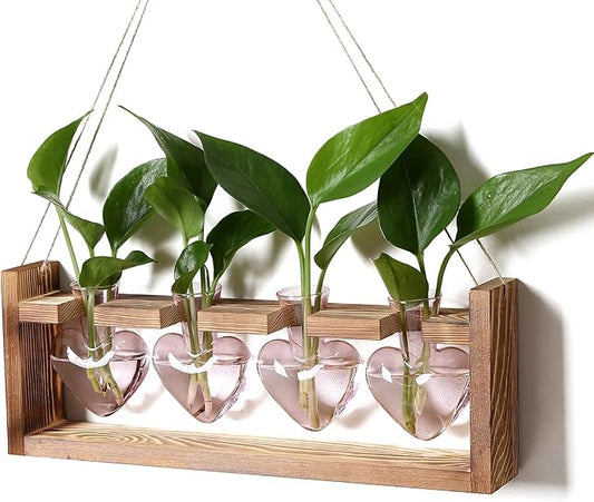 Plant Propagation Stations Heart Plant Terrarium Kit Gift for Women Plant Lover Glass Vases