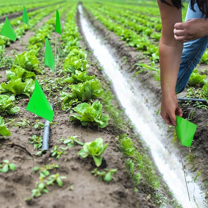 Zozen 50Pack Green Marking Flags, Writable/15x4x5 Inch, Yard Flags for Lawn & Irrigation & Landscape & Sprinkler & Survey & Dog Training.